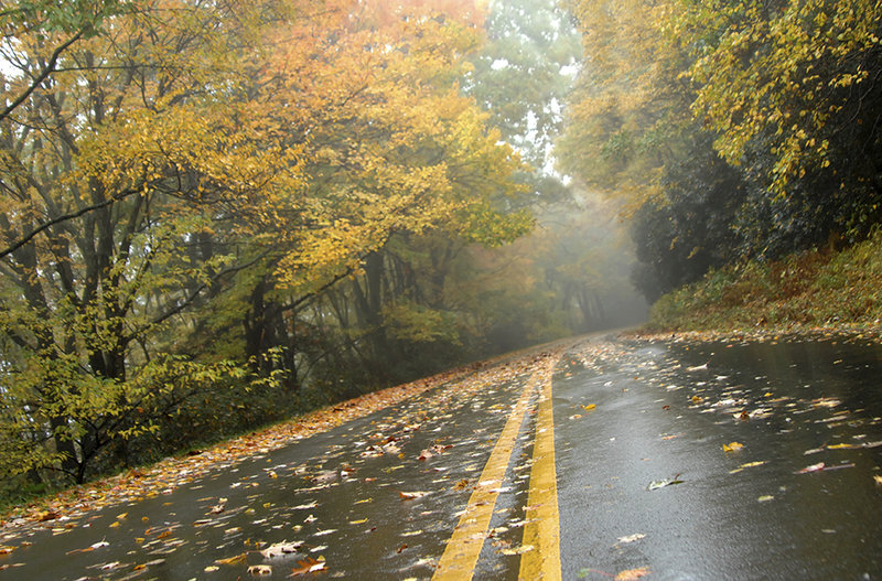 Nasse Fahrbahn im Herbst