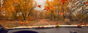Kategorie-Bild: Herbst-Special