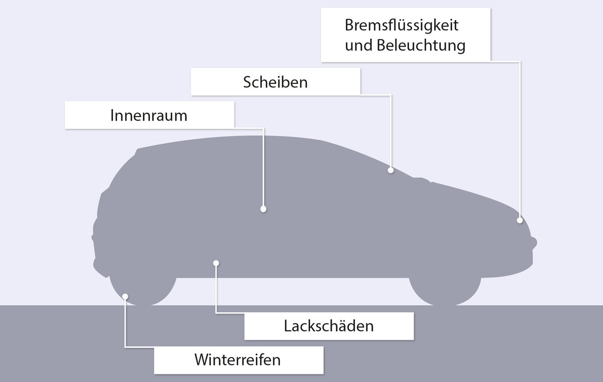 Frühjahrs-Check